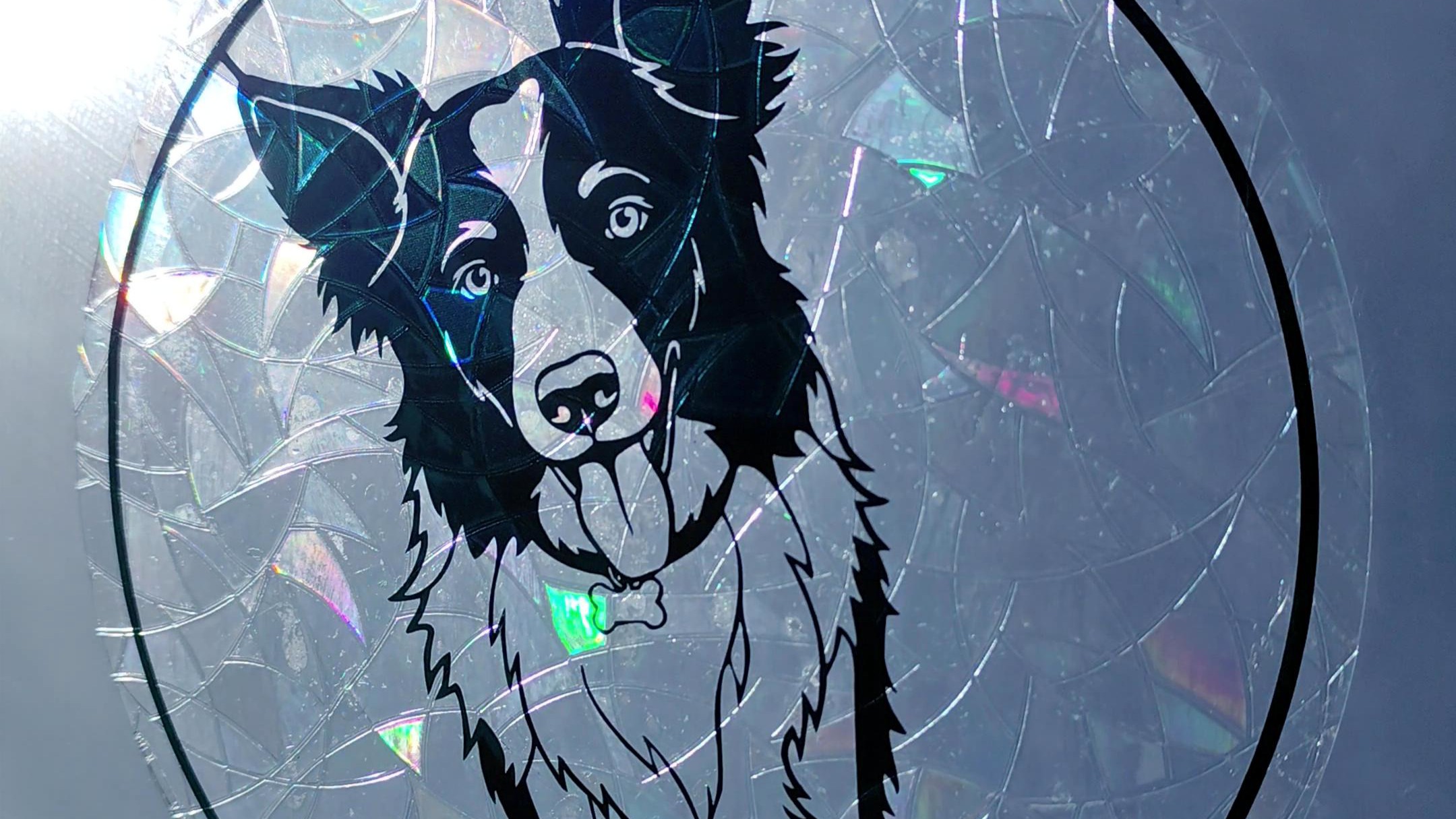 Duhová show: Jak na suncatchery s metalickými zvířátky🐶🌈